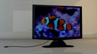 LCD TV