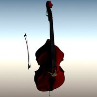 Double Bass