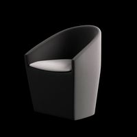 Wooden Chair with Arm 009
