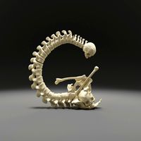 Bones G