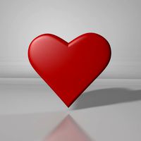 Heart