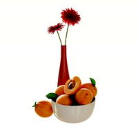 apricot