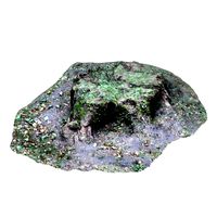 Trunk 3d Scan