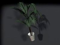 fern.3ds