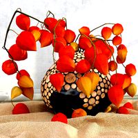 physalis in a vase