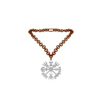 Vegvisir Symbol