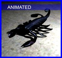 Scorpio
