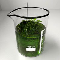 800 ml Glass Beaker with Liquid and Rod