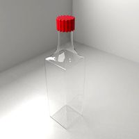 Glass Bottle 17