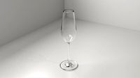 Champagne Glass 1