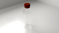 Bottle 10
