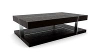 Two Tiered Wood and Metal Coffee Table
