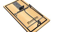 mouse trap