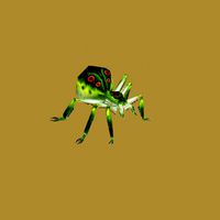 lowpoly bugs