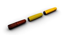 corn