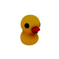 Rubber duck