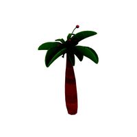 Palm tree