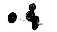 Curling Bar Weight Set