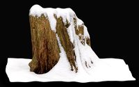 Stump under the snow