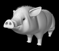 pig
