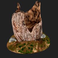 Tree Stump
