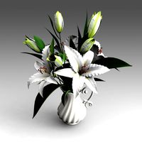Lilies Flowers_025