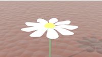 white flower