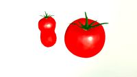 tomato