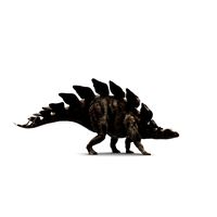 Stegosaurus