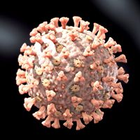 CoronaVirus COVID 19