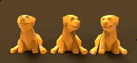 Dog Puppy 2018