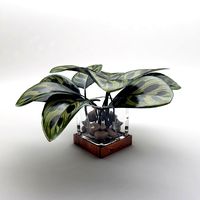 Vase with Leaves