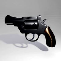 .32 Iver Johnson Revolver