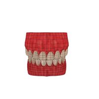 Human Mouth.