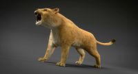 Lioness ANIMATED FUR