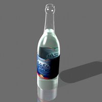 Water Bottle