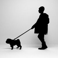 Silhouette walking Dog