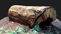 3D sawn of tree part 2
