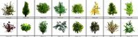 plant package (16 plants)