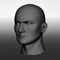 Male Head