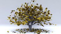 fig autumn hight poly
