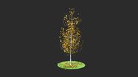 pyrus autumn hight poly