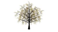 hawthorn autumn low poly