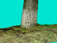 Tree Stump 3
