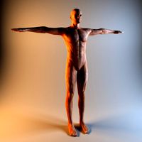 Realistic Muscular Male Low Poly