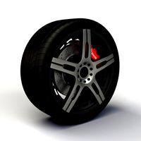 Wheel Quantum TEK rim and tire