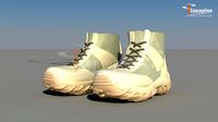 boots