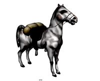 Pack Horse