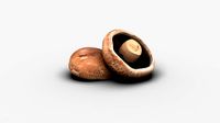 Realistic Mushroom