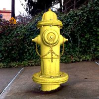 Yellow Fire Hydrant